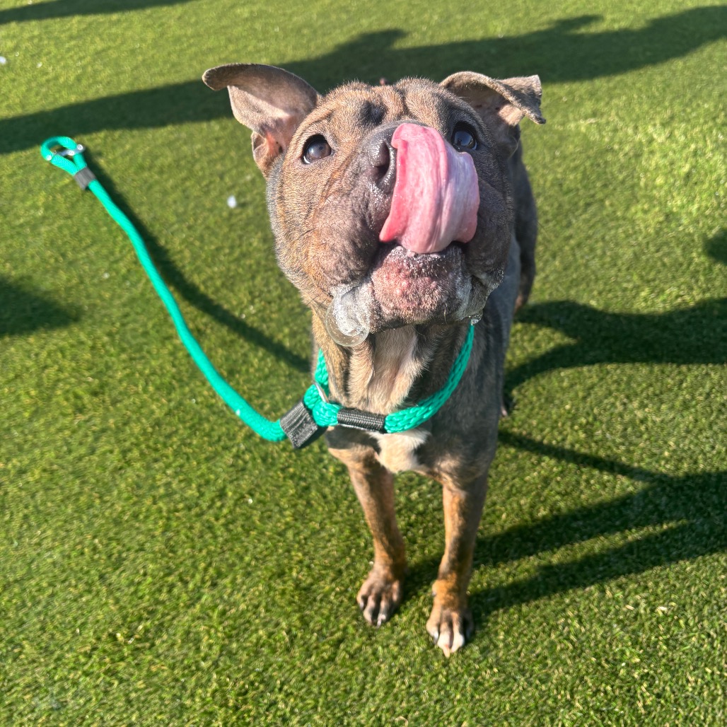 Smooches — thumbnail 4