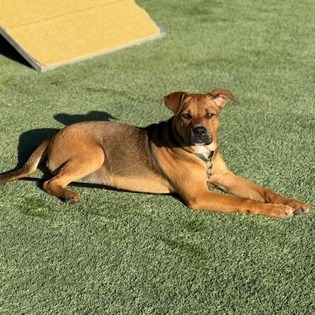 Kali Letty — thumbnail 2