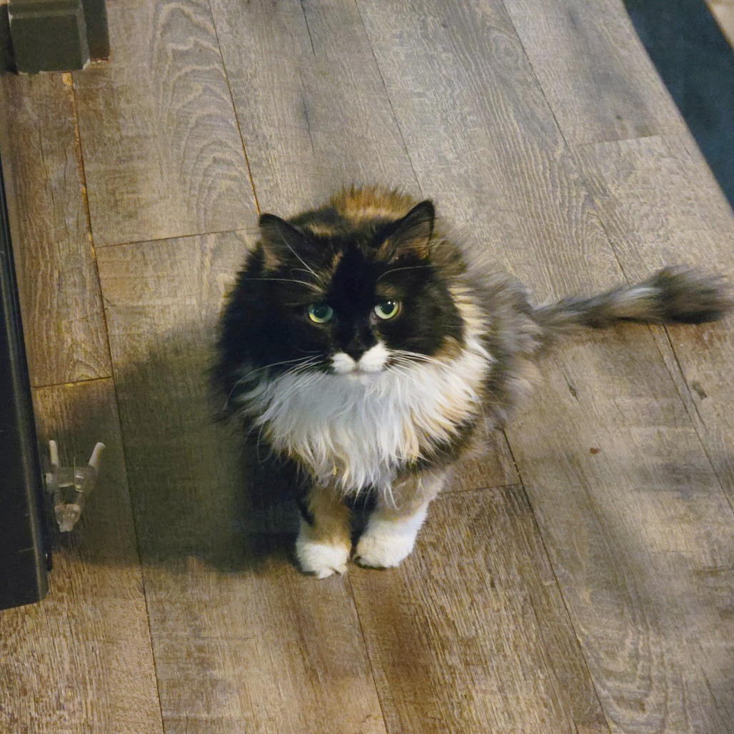 Leah, photo 24