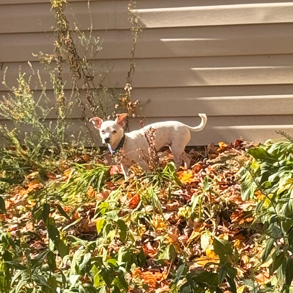 MINNIE, photo 20