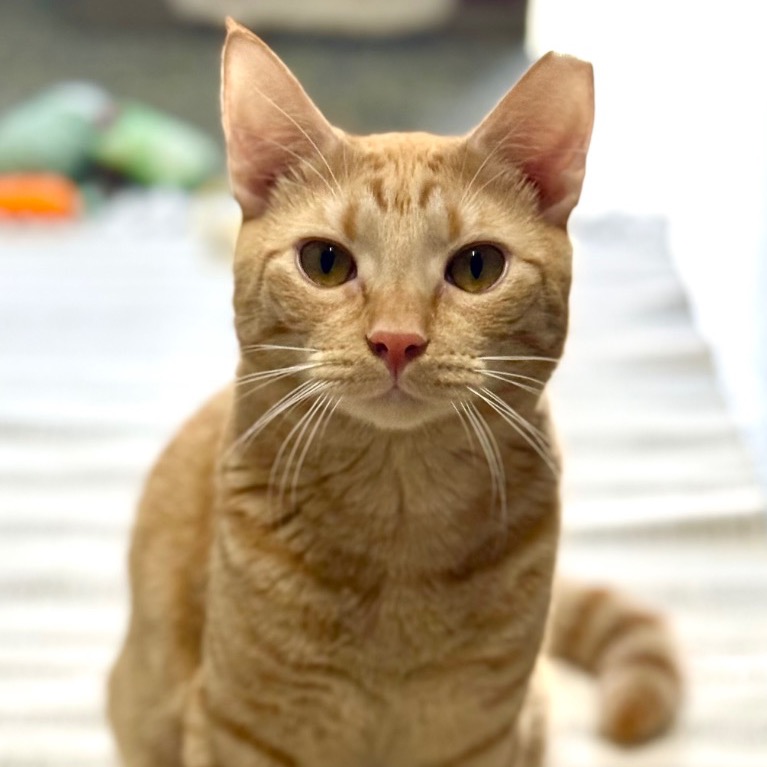 Another portrait of Fiyero