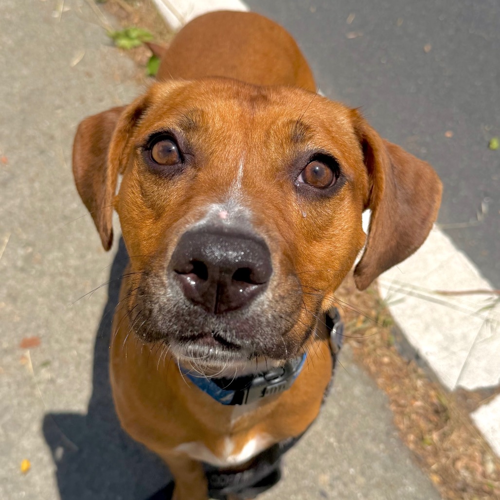 LULU (2), photo 6