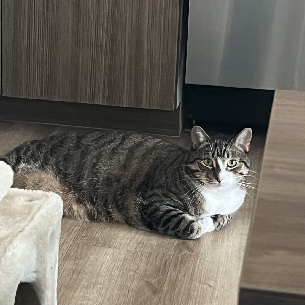 Winnie, photo 11