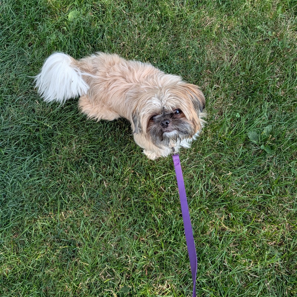 Photo of Marvin 9