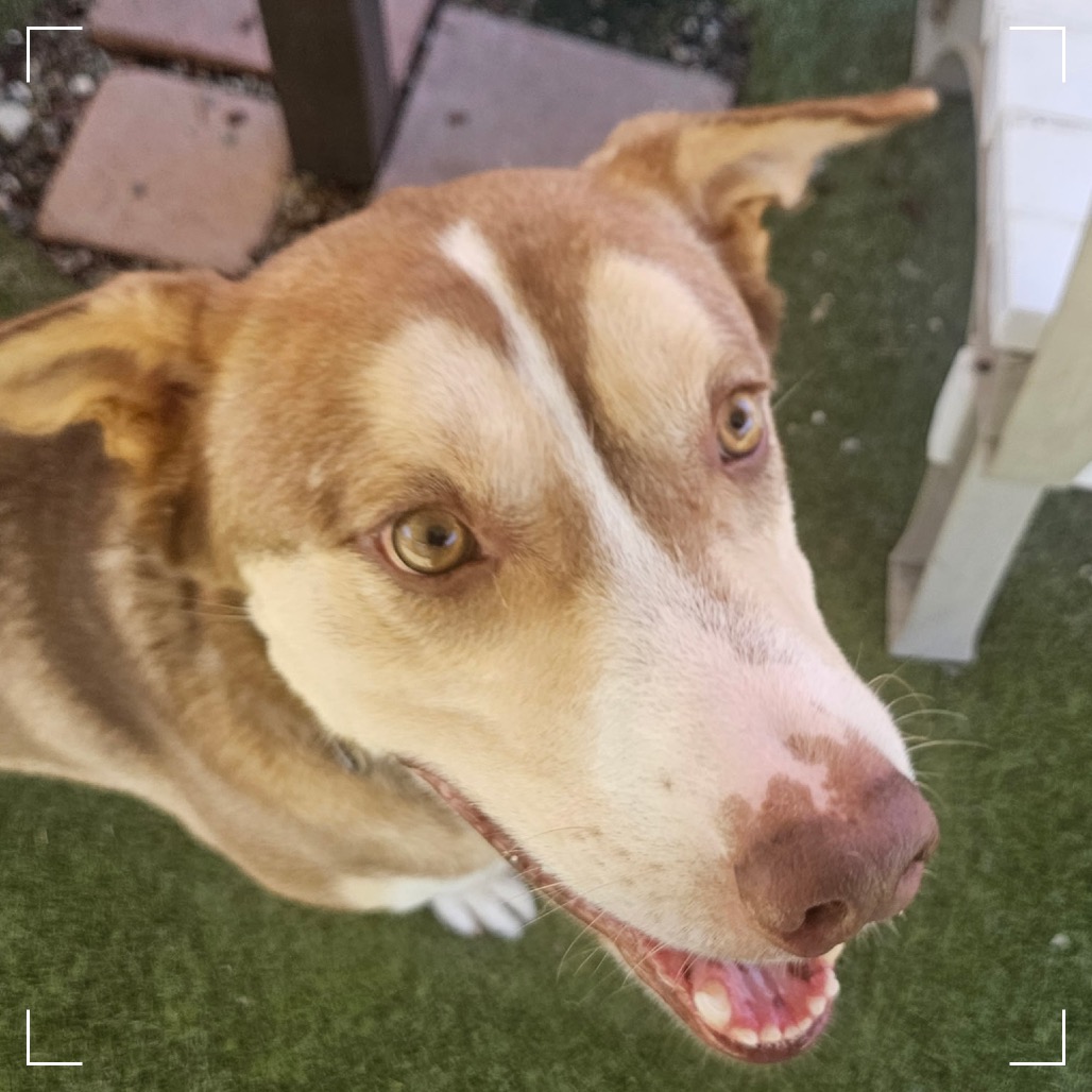BANDIT, photo 4