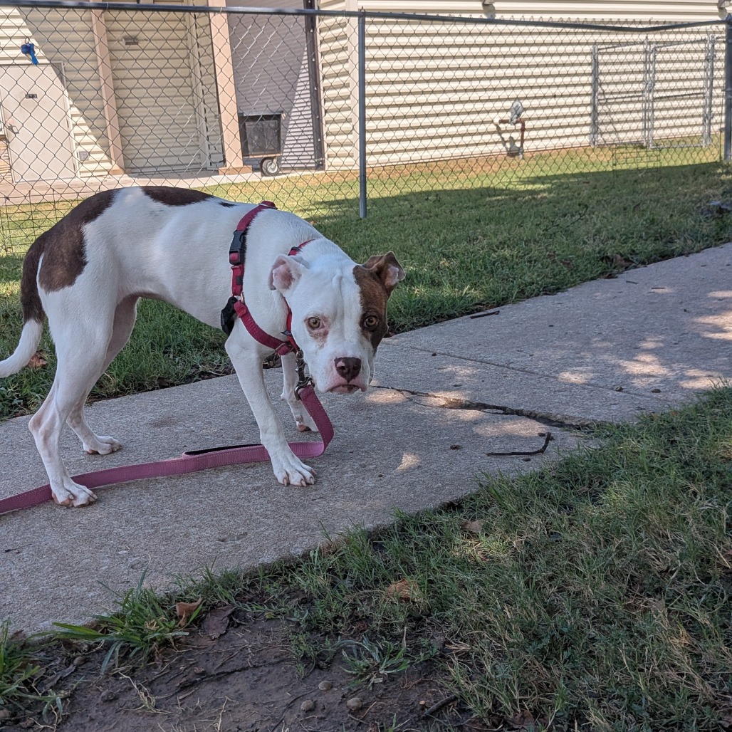 Olivia photo 6