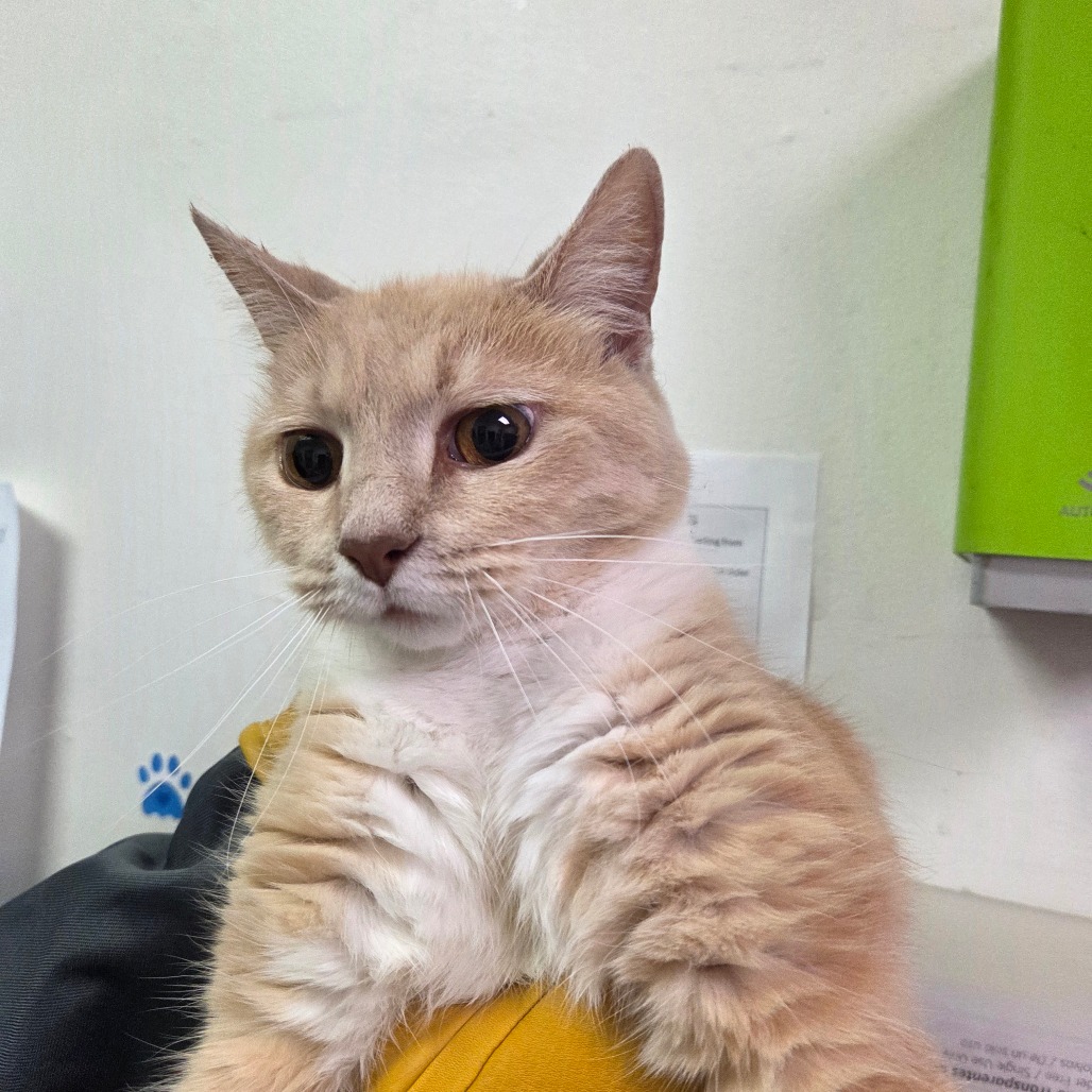 Sunshine — thumbnail 2