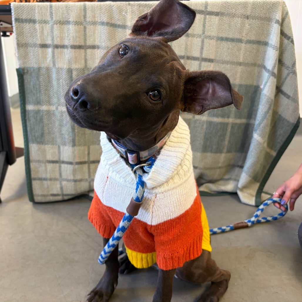 Winnie, photo 6