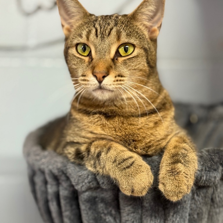 Photo of Dotty playing