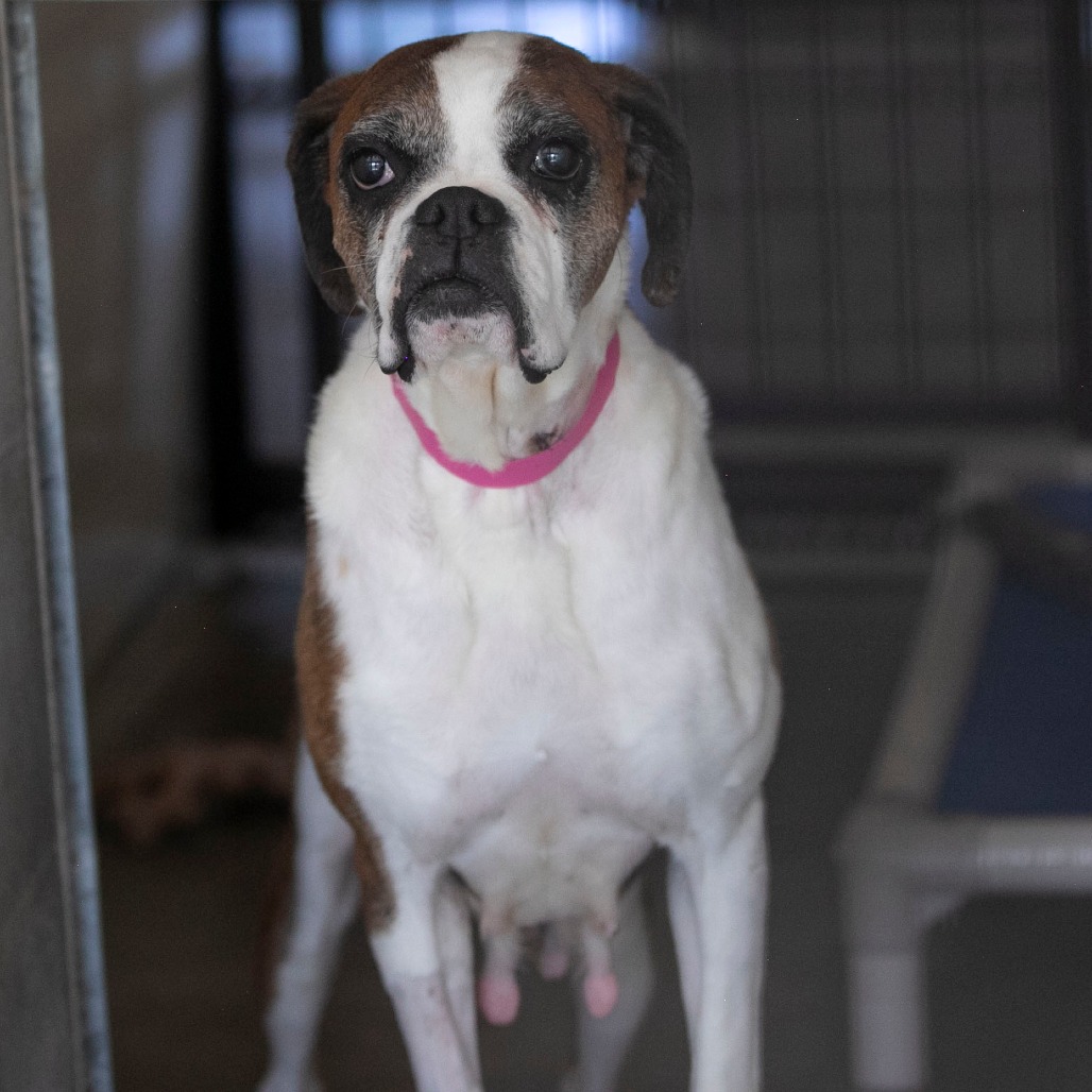 Lil Ruby (JN26-09), photo 3