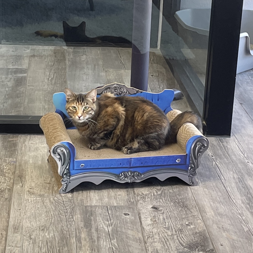 Photo of Priscilla