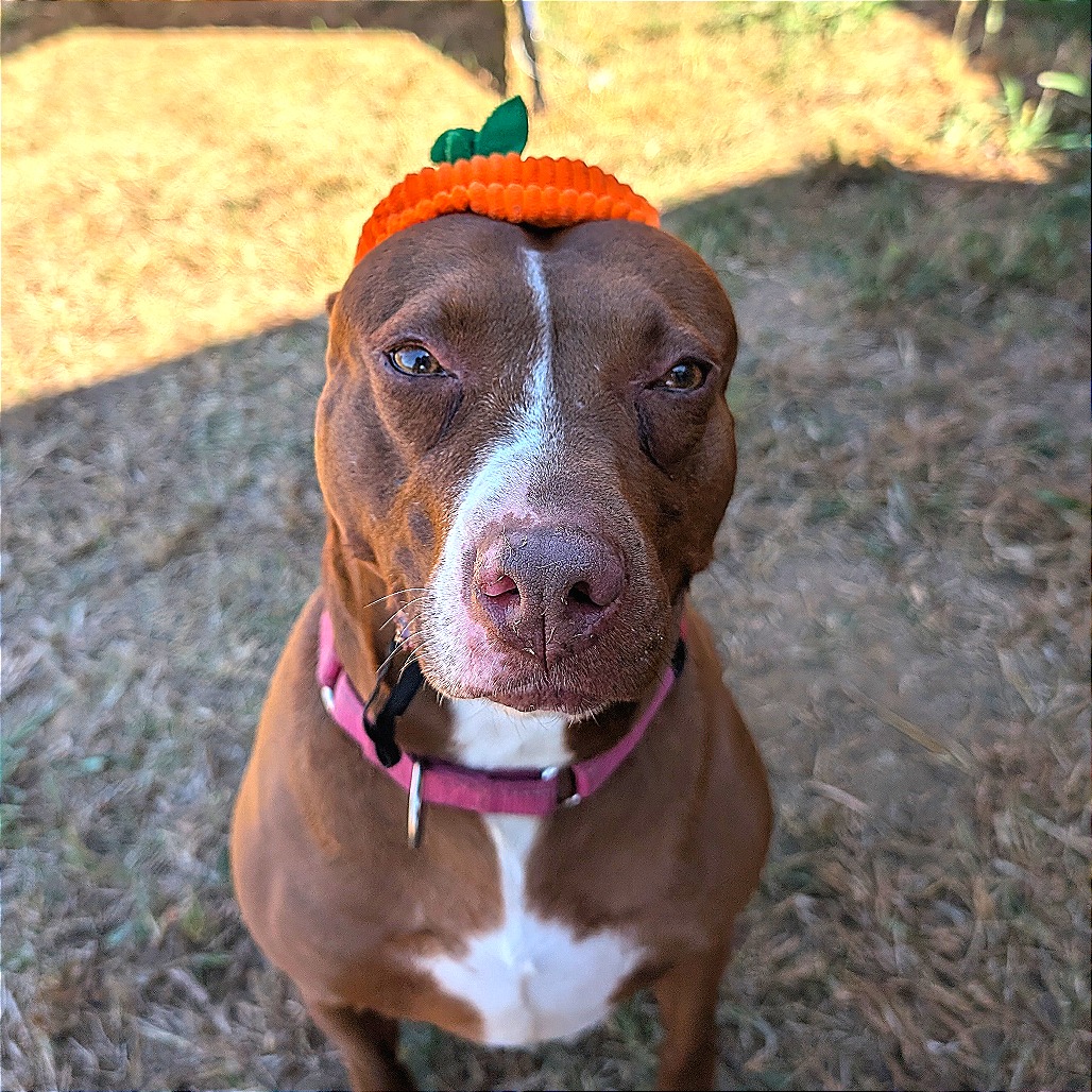 Grace, photo 3