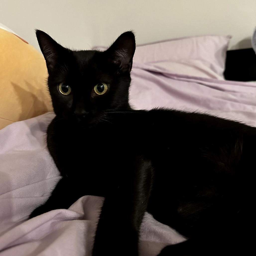 Salem — thumbnail 5