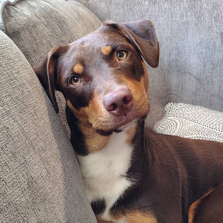 Penny