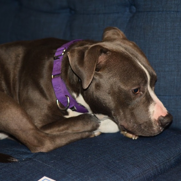 Moonbeam — thumbnail 11