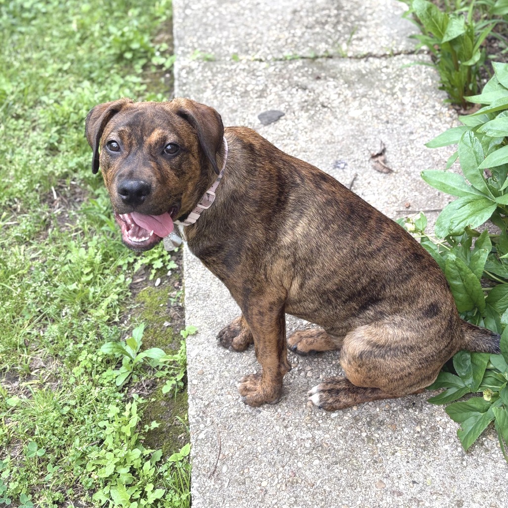 Penelope — thumbnail 10