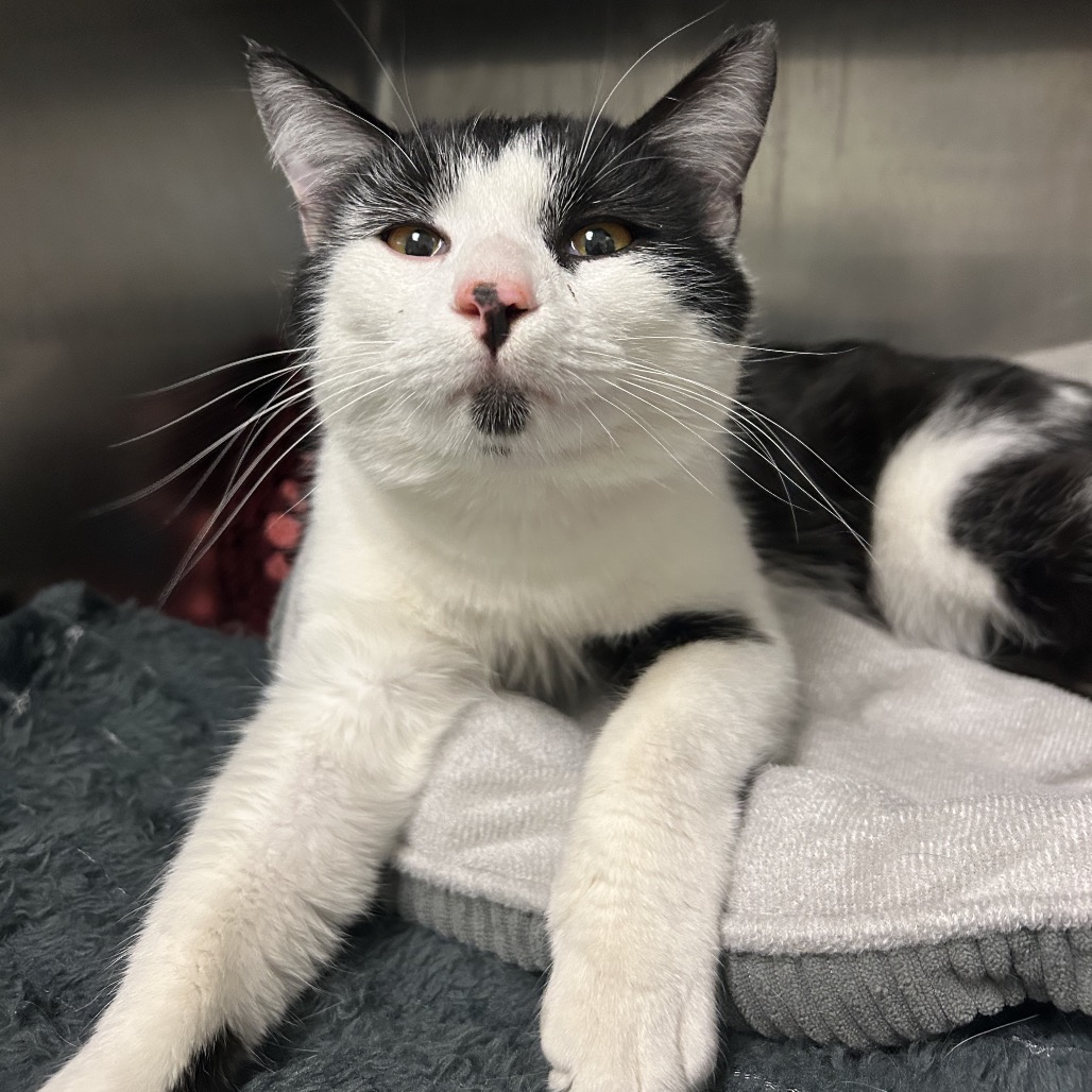 Benson Boone — thumbnail 3