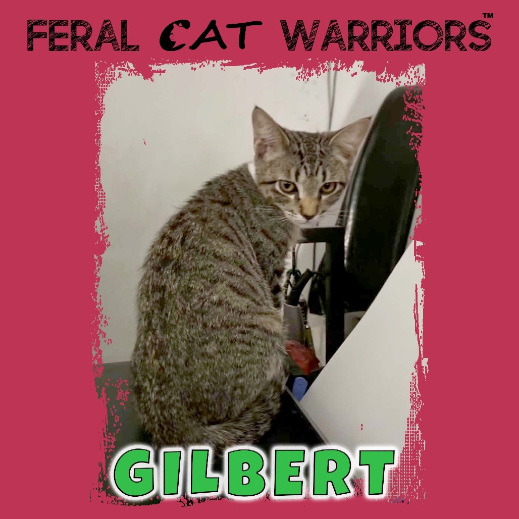Gilbert