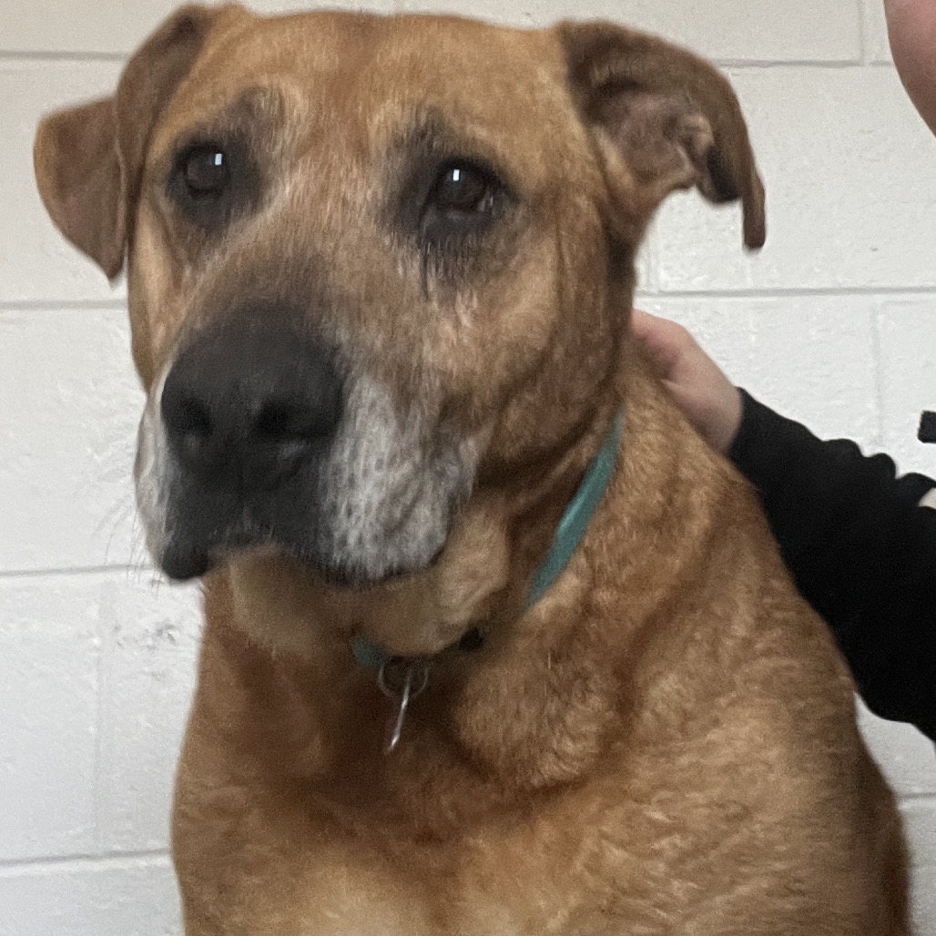 Esme — thumbnail 4