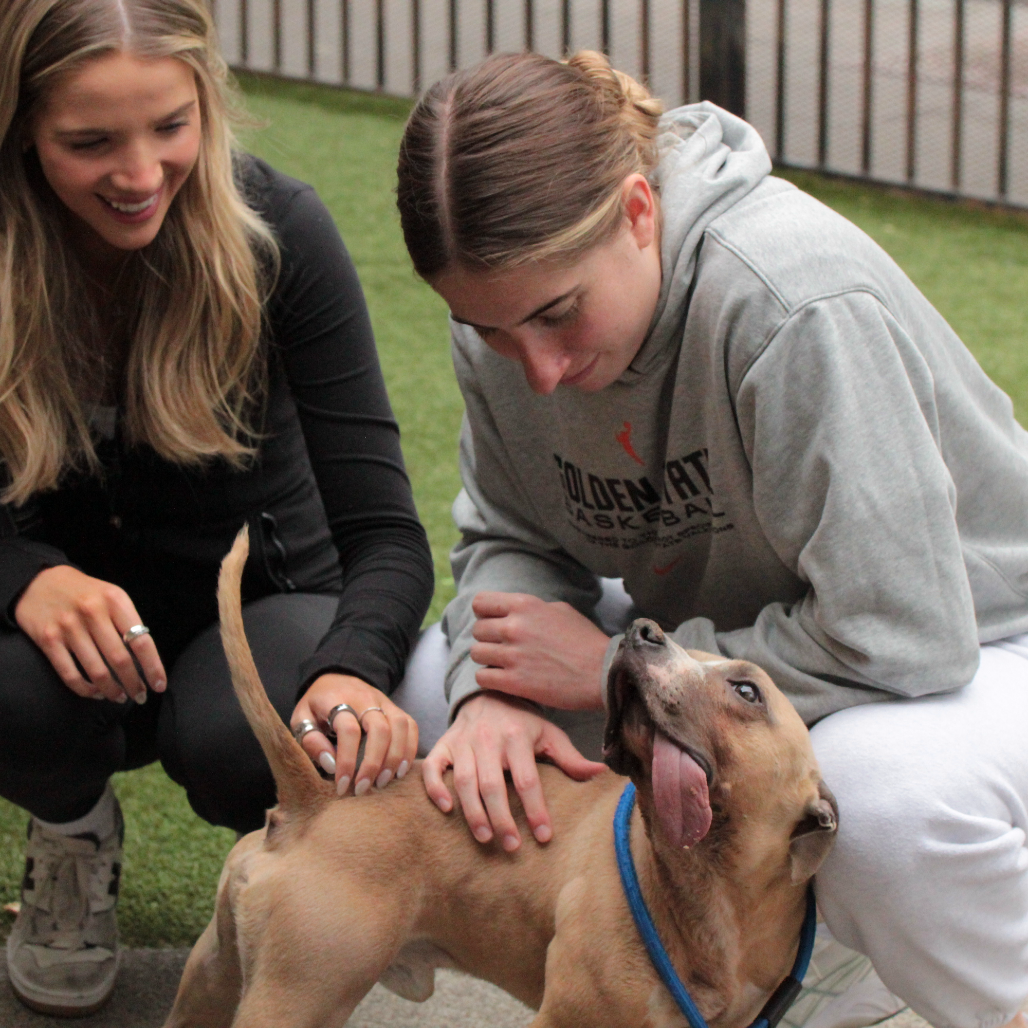 Tucker — thumbnail 5