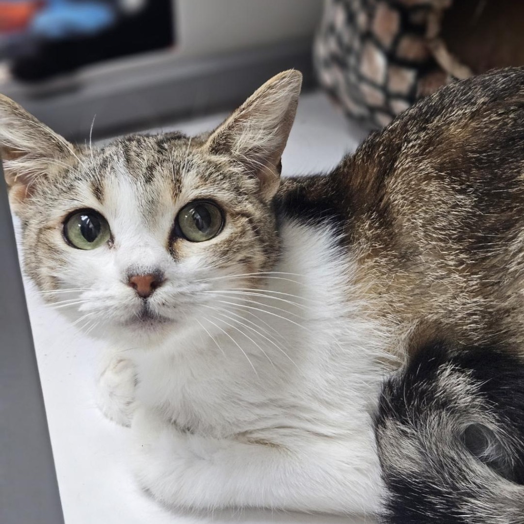 A#89a's preview photo