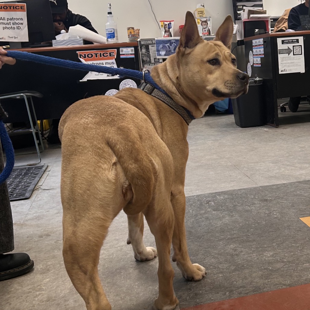 Marla — thumbnail 5