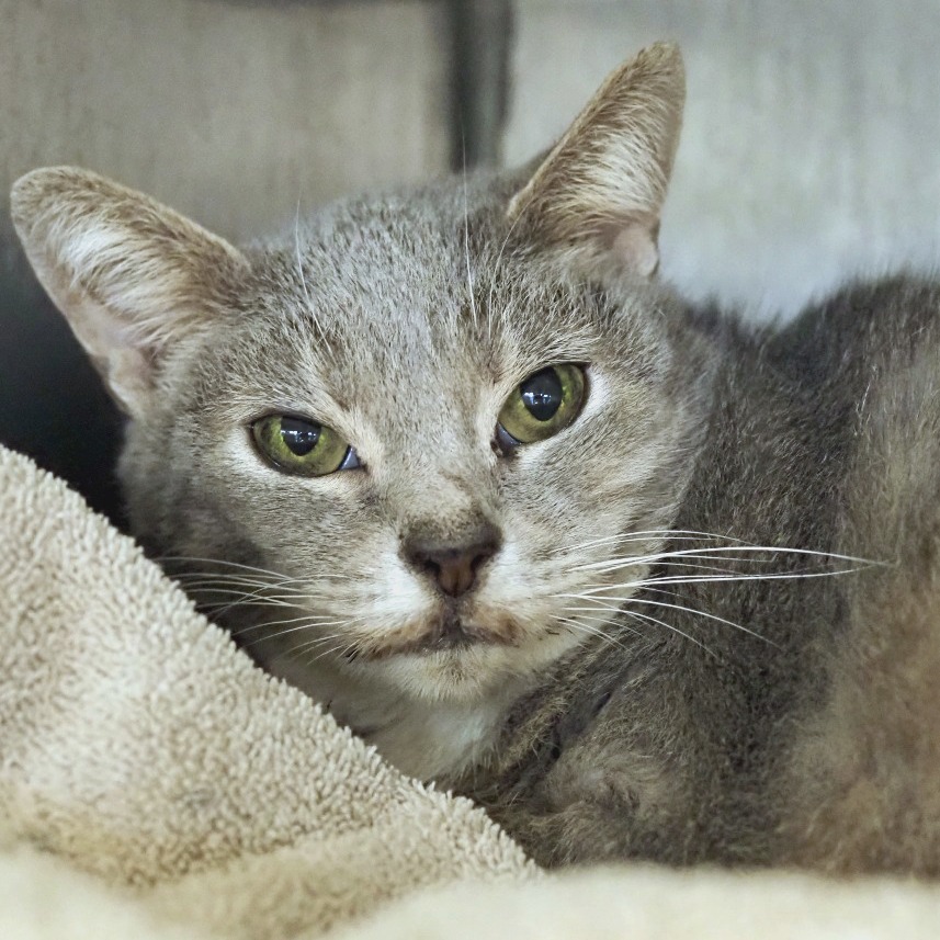 Free Sample — thumbnail 5