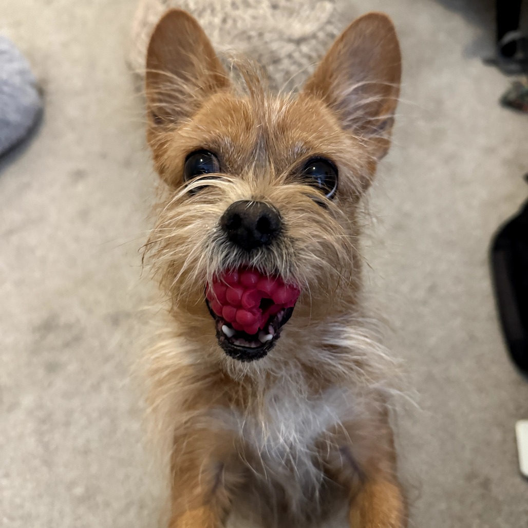 Bubbles — thumbnail 4