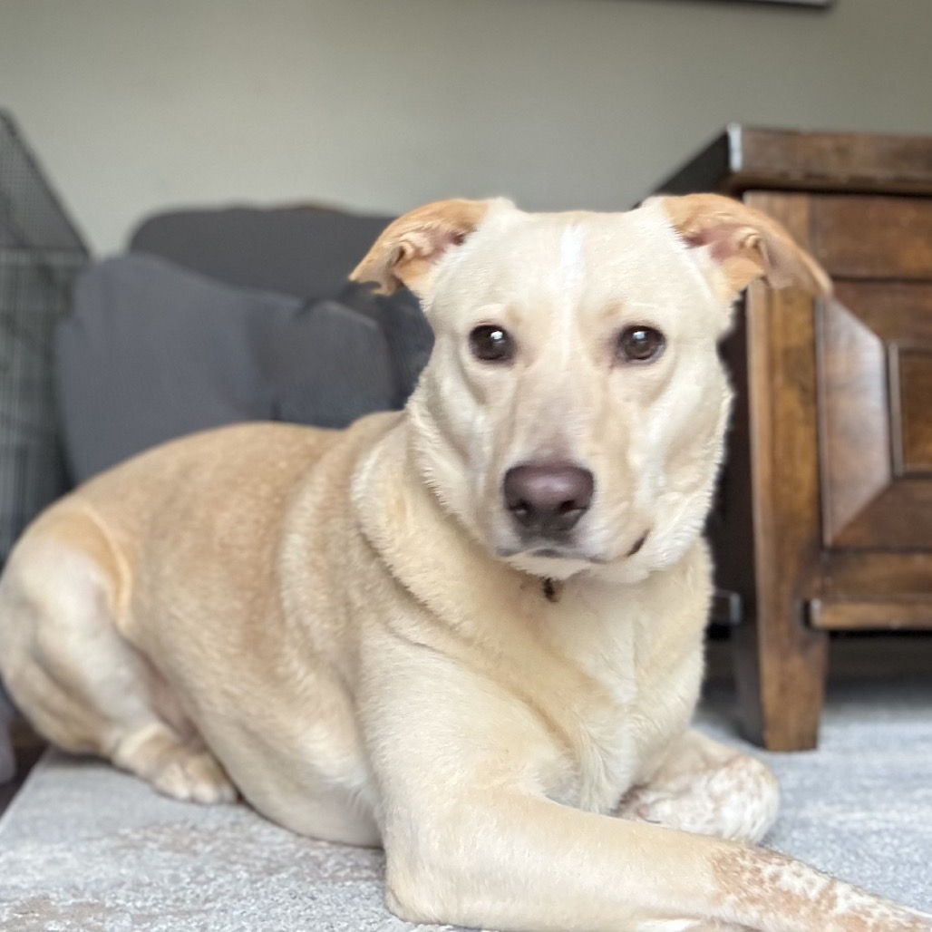 Butter, photo 23