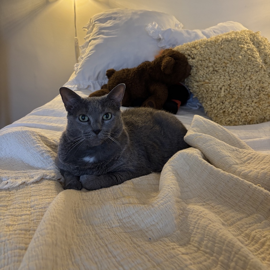 Aggie, photo 9