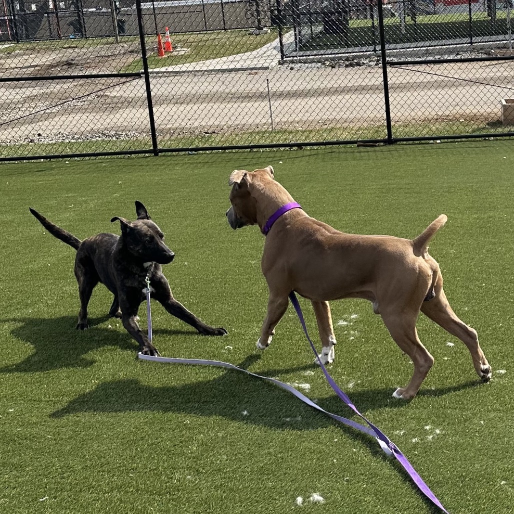 Juhad — thumbnail 5