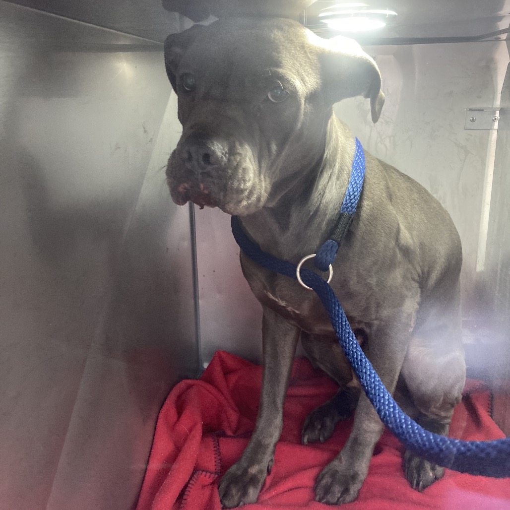 Stacey — thumbnail 2