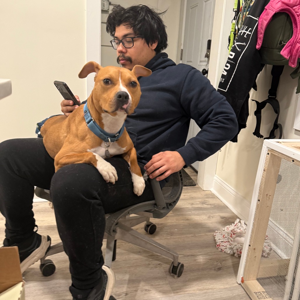 Canelo — thumbnail 2