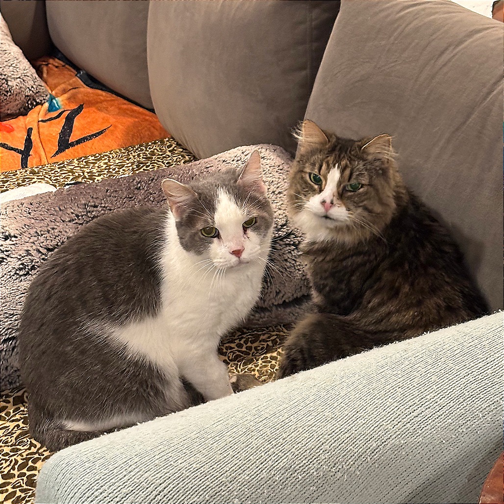 Franklin Parsons and Freddie Pesto - We're a bonded pair!