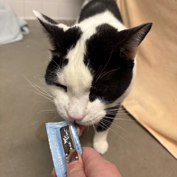 Photo of QZ and Freddy 22