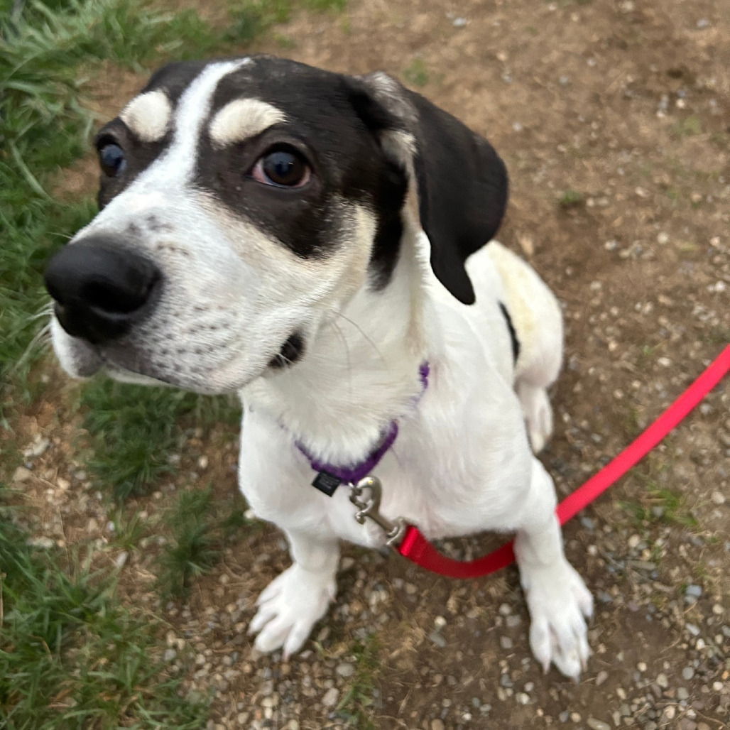 Tracker, photo 25
