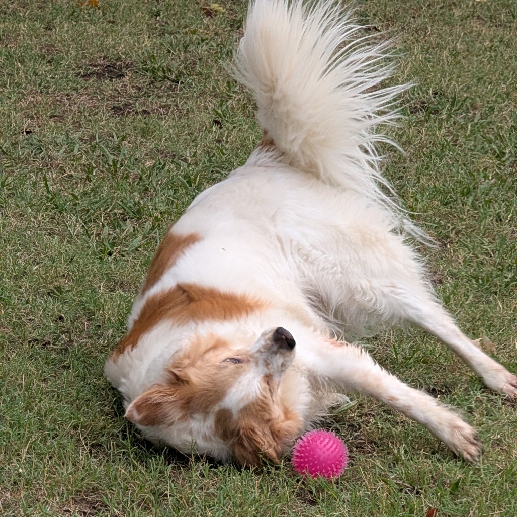 Sandy photo 31