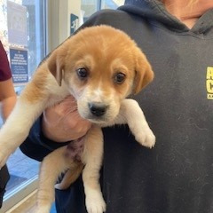 6cb8b75d49d863090ced61d9531bac22