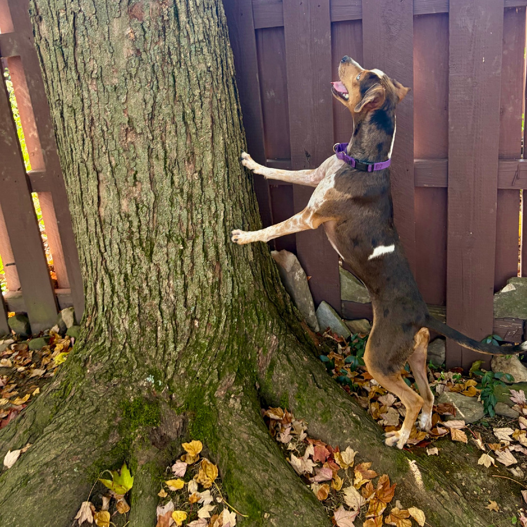 Storm, photo 39