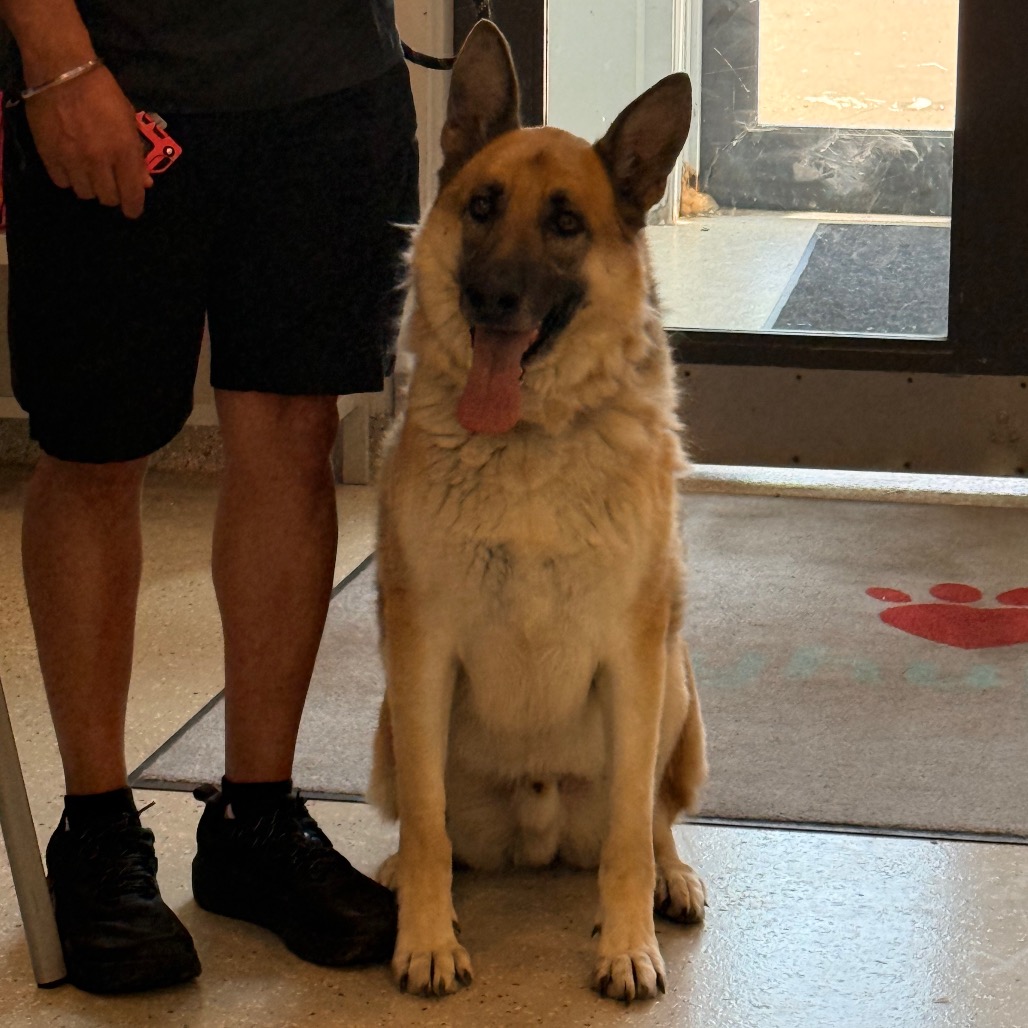 Kaiser