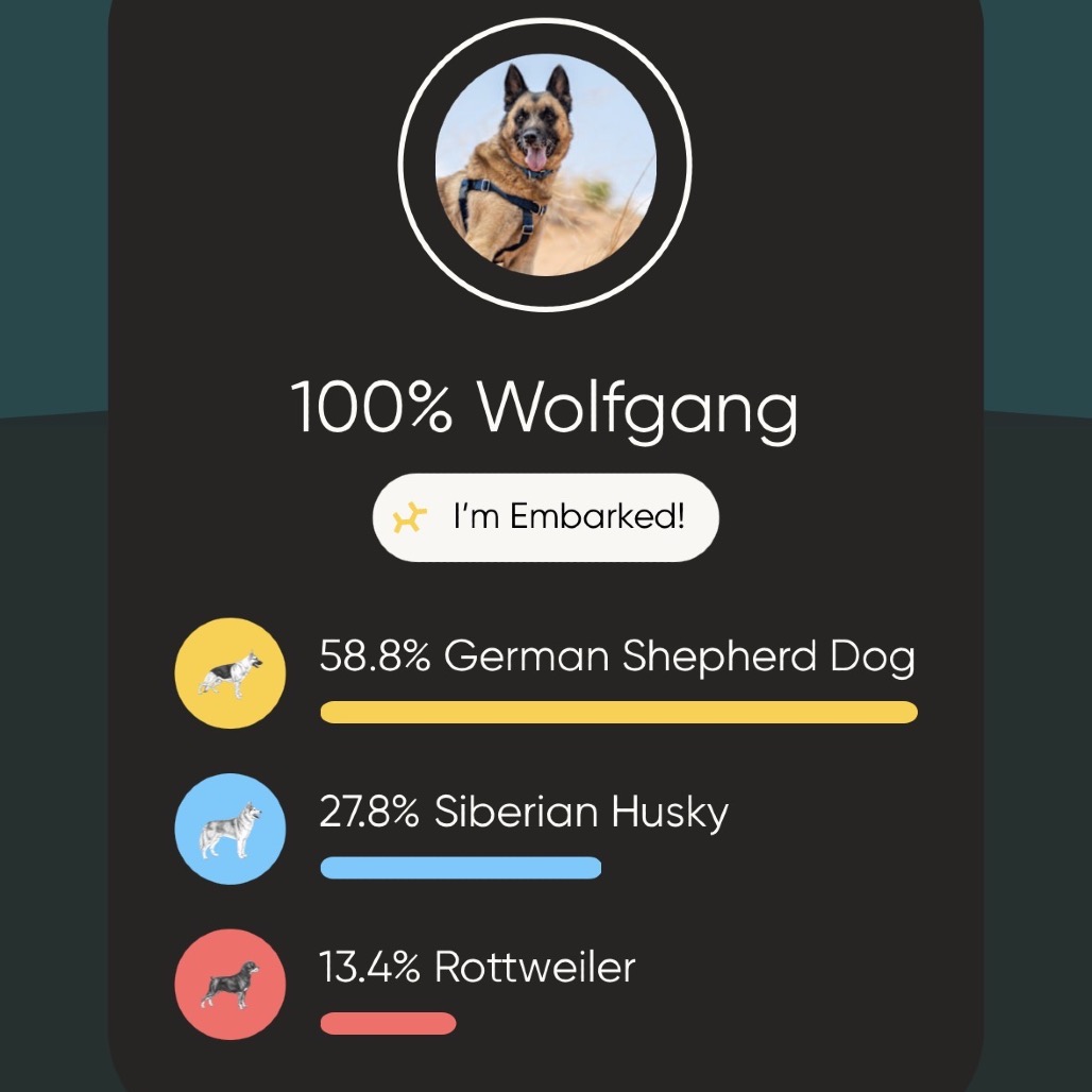 Wolfgang, photo 20