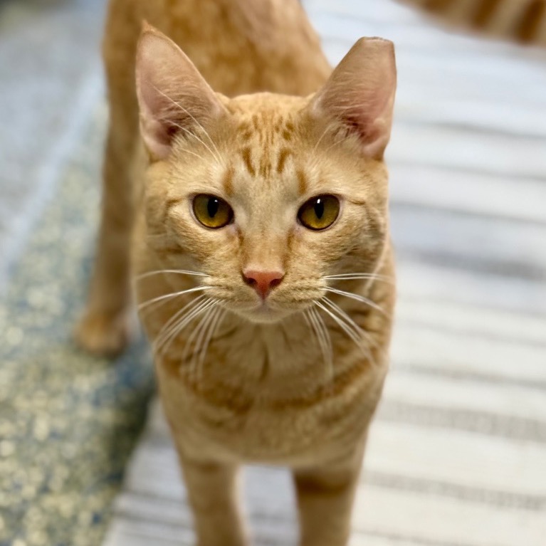 Close-up photo of Fiyero