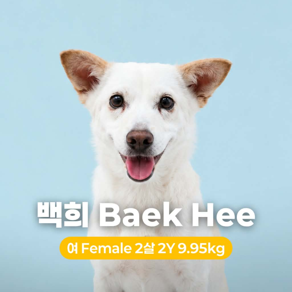 Baek Hee
