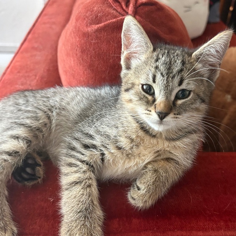 Full body shot of Twix