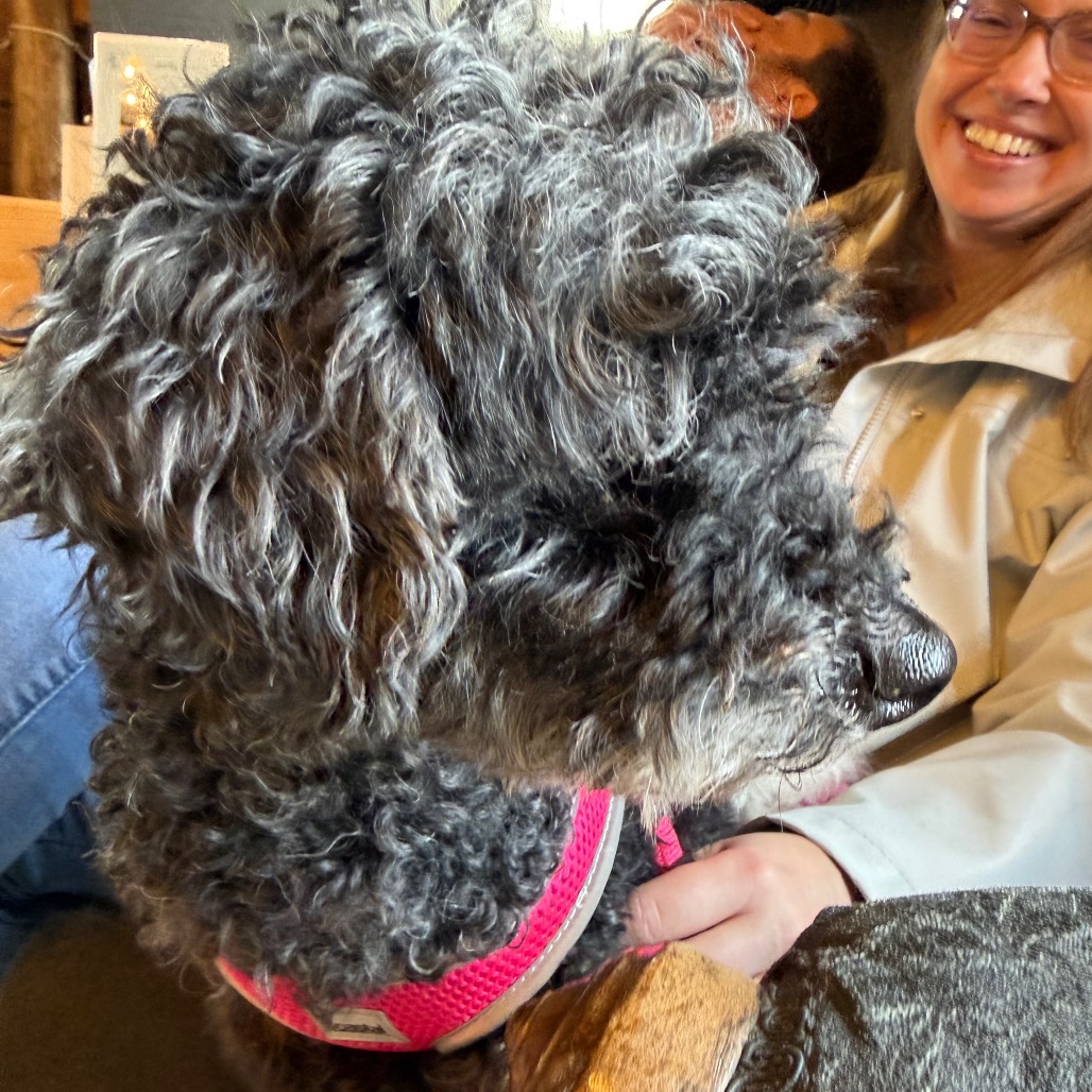 Willow (Whoopie), photo 19