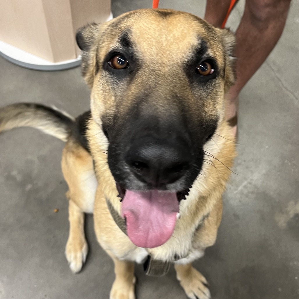 Titan — thumbnail 2