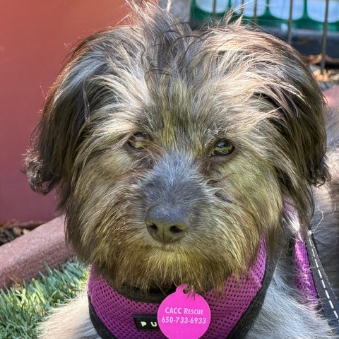 Animal namedSammie