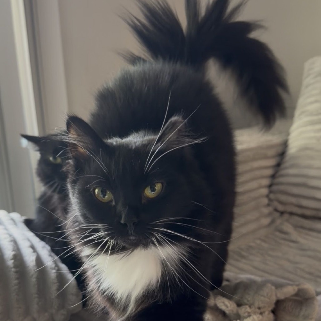 Lucie