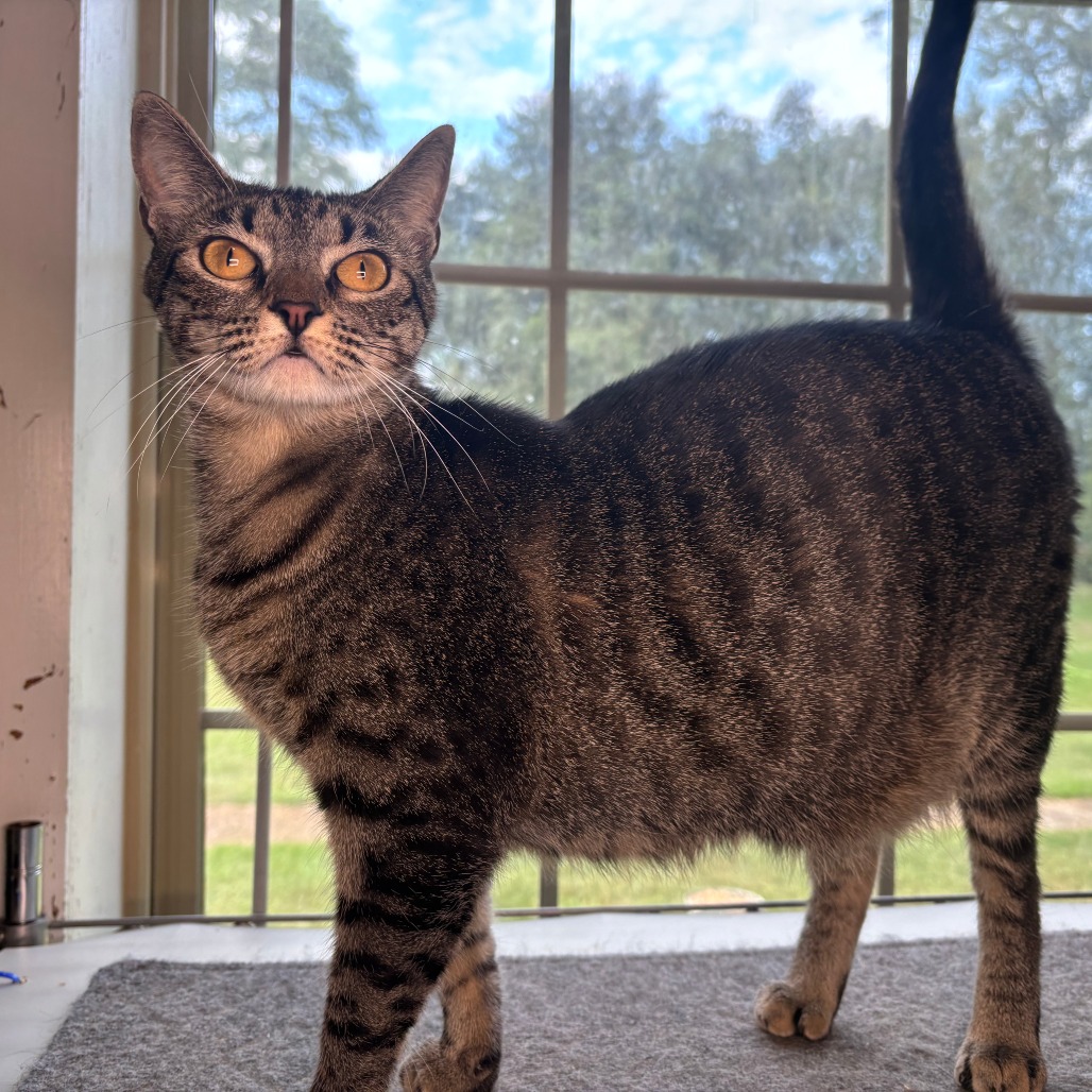 Miss Beans, photo 7