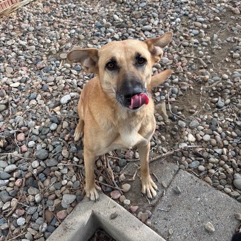 Shadow — thumbnail 6